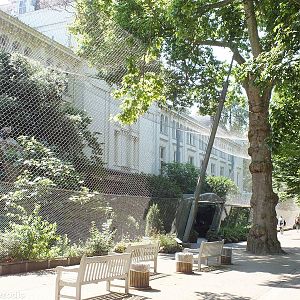 Griffon Vulture Aviary