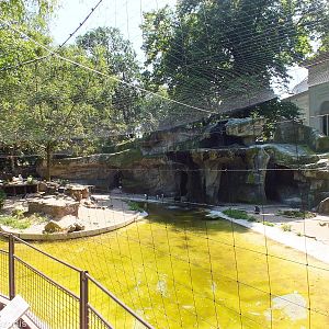 Part of the African Penguin Enclosure