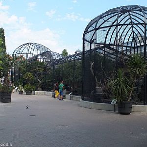 Aviaries on the outside of the Bird house and Rainforest Hall
