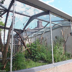 American Porcupine Enclosure