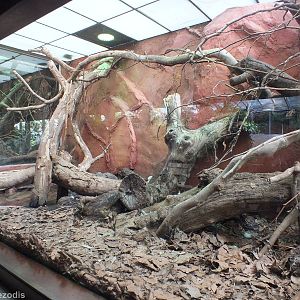 Reticulated Python Enclosure