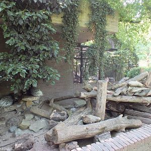 South African Porcupine Enclosure