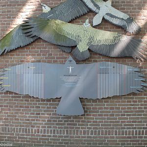 Birds of Prey Wingspan Comparison Sign
