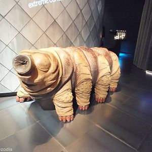 Large Model - Micropia