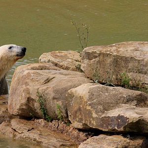 What the hell do you think you are doing on MY island mister gull?