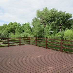 Zoo Lake - Viewing Dock