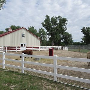 Scottish Highland Cattle Exhibit