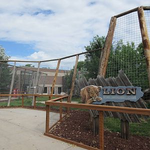 Lion Exhibit