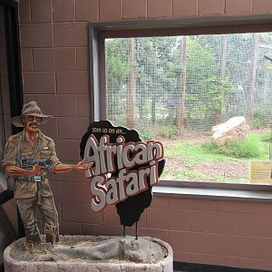 Lion Exhibit - Viewing Window