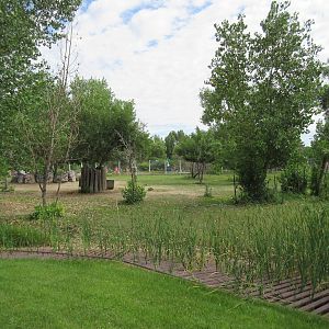 Grant's Zebra Exhibit