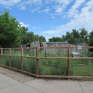 Reeves' Muntjac Exhibit