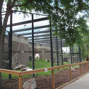 Chimpanzee Exhibit
