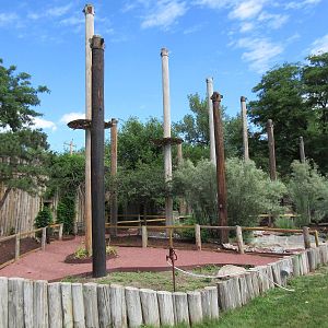 Old Primate Exhibit?