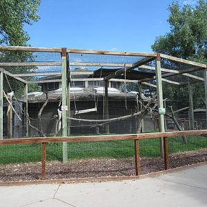 Colobus Monkey Exhibit