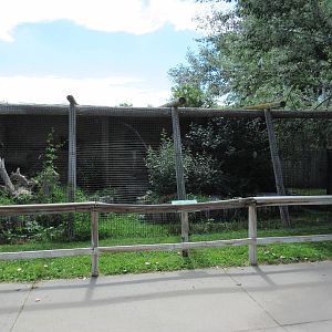 Black Crowned Night Heron/American Crow Exhibit