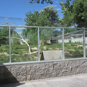 Swift Fox Exhibit
