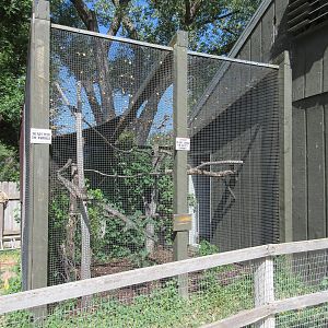 Empty Exhibit (attached to indoor sloth exhibit?)