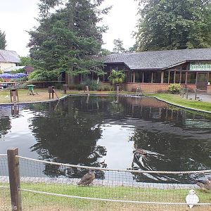 Waterfowl Pond and Temperate House behind