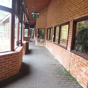 Inside the Temperate House