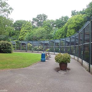 The 'Crescent Aviaries'