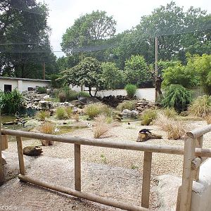 Walkthrough Seashore Enclosure