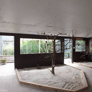 View inside 'Outback Landing'