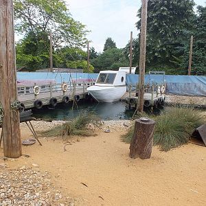 View of 'Penguin Beach'