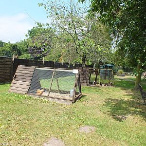 View in Jenny Wren Farm