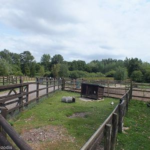 View in Jenny Wren Farm