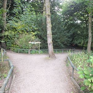 Entrance to the 'Woodland Walk'