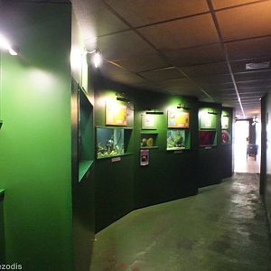 View inside Underwater World