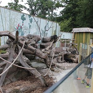 Otter/Binturong Enclosure
