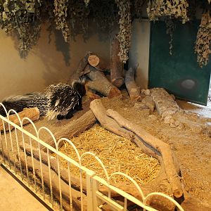 Porcupine Inside Area