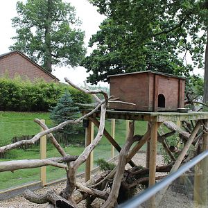 Red Panda enclosure