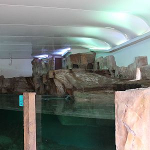 Penguin enclosure