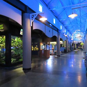 Main Hallway