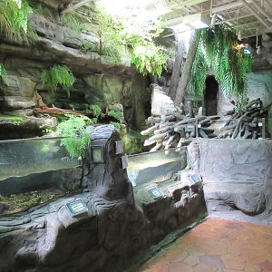 Fish + Beaver Exhibits