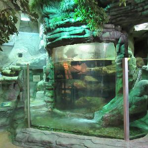 North American River Otter Exhibit