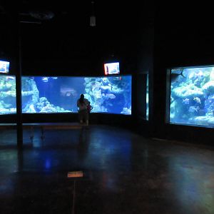 Coral Reef Exhibit