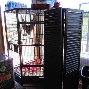 Ring-Tailed Lemur Cage