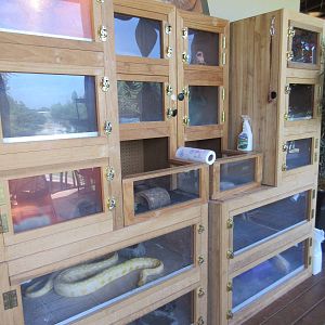 Assorted Reptile Terrariums