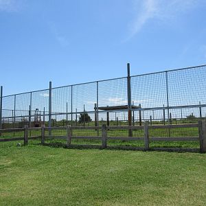 Grizzly Bear Exhibit