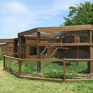 Black + White Ruffed Lemur Exhibits