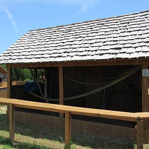 Ring-Tailed Lemur Exhibit