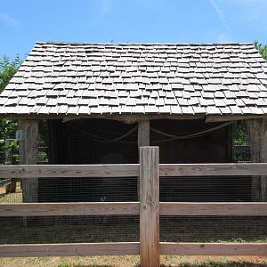 Ring-Tailed Lemur Exhibit (one of at least 5)
