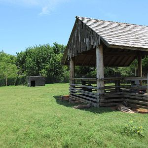Red Kangaroo Exhibit