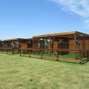 Small Mammal Exhibits
