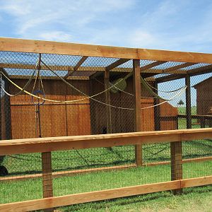 Capuchin Monkey Exhibit