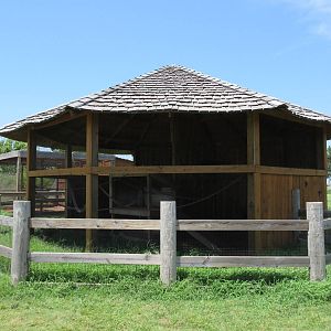 Vervet Monkey Exhibit