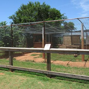 Bengal Tiger Exhibit